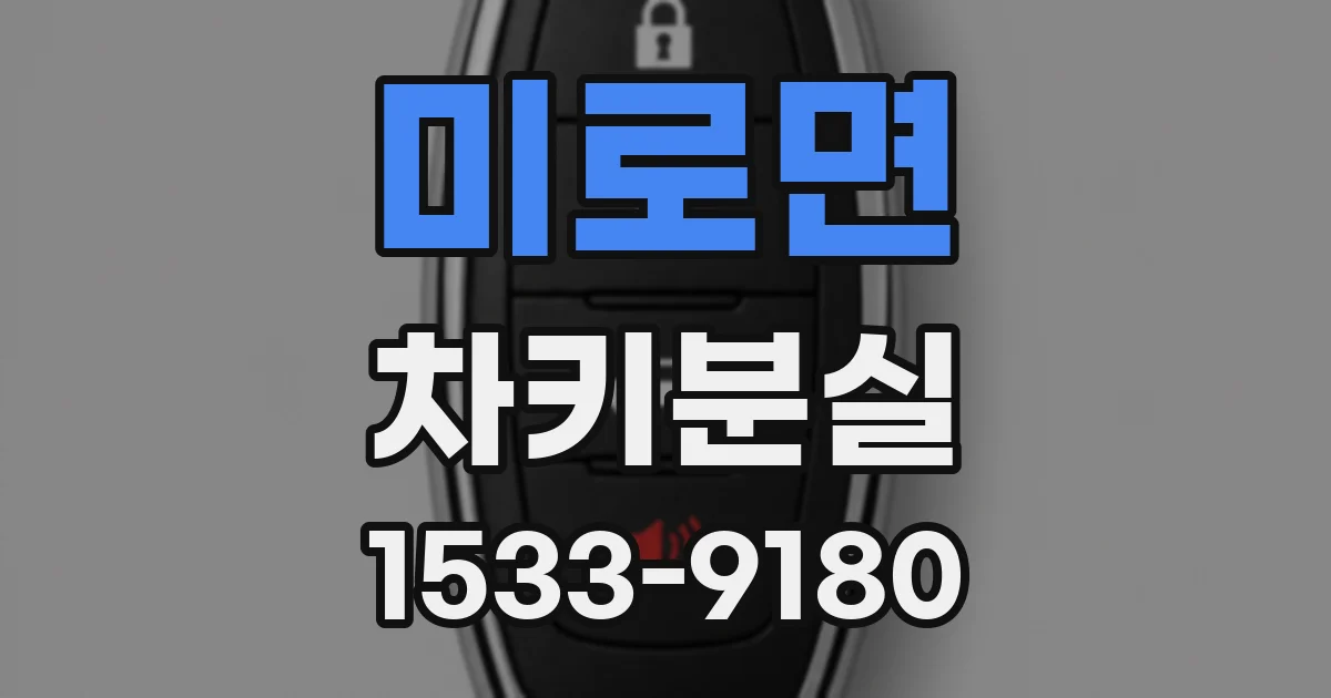 미로면 차키분실