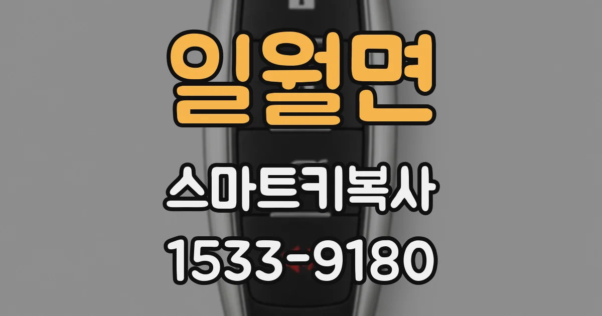 일월면 스마트키복사