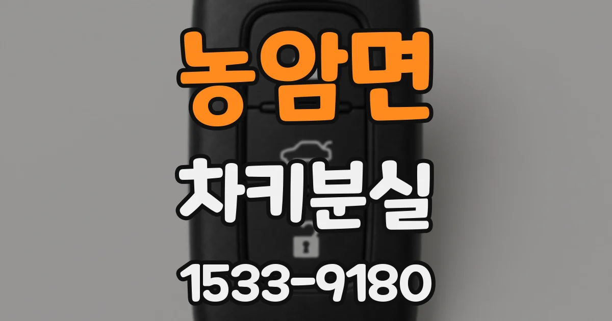농암면 차키분실
