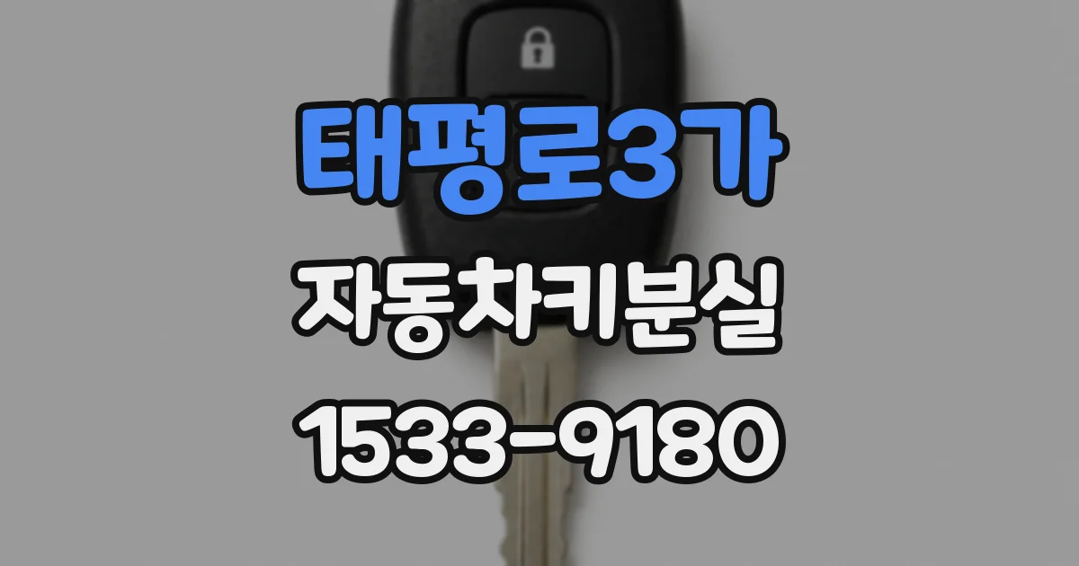 태평로3가 자동차키분실