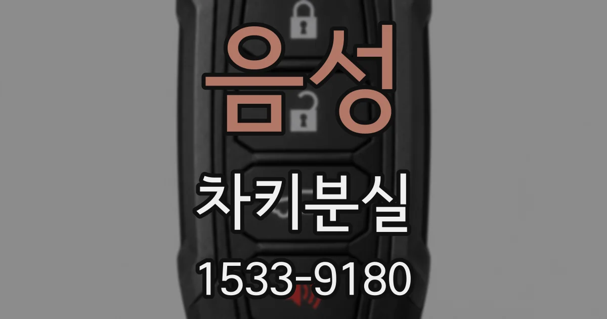 음성 차키분실