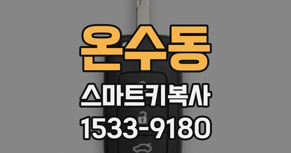 온수동 스마트키복사