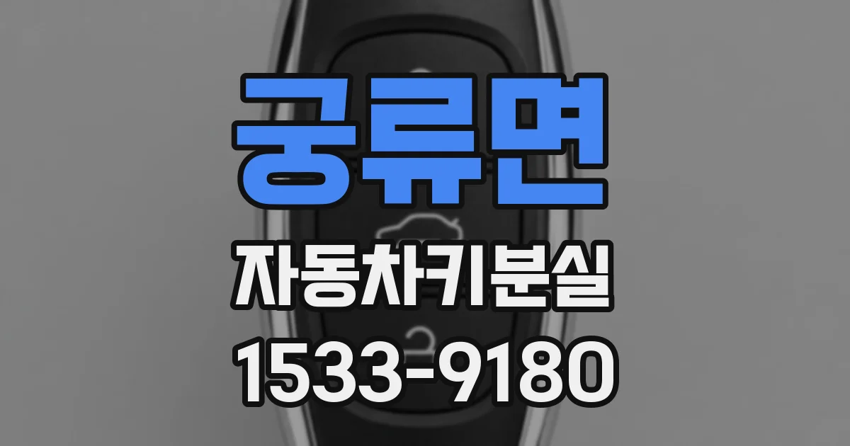 궁류면 자동차키분실