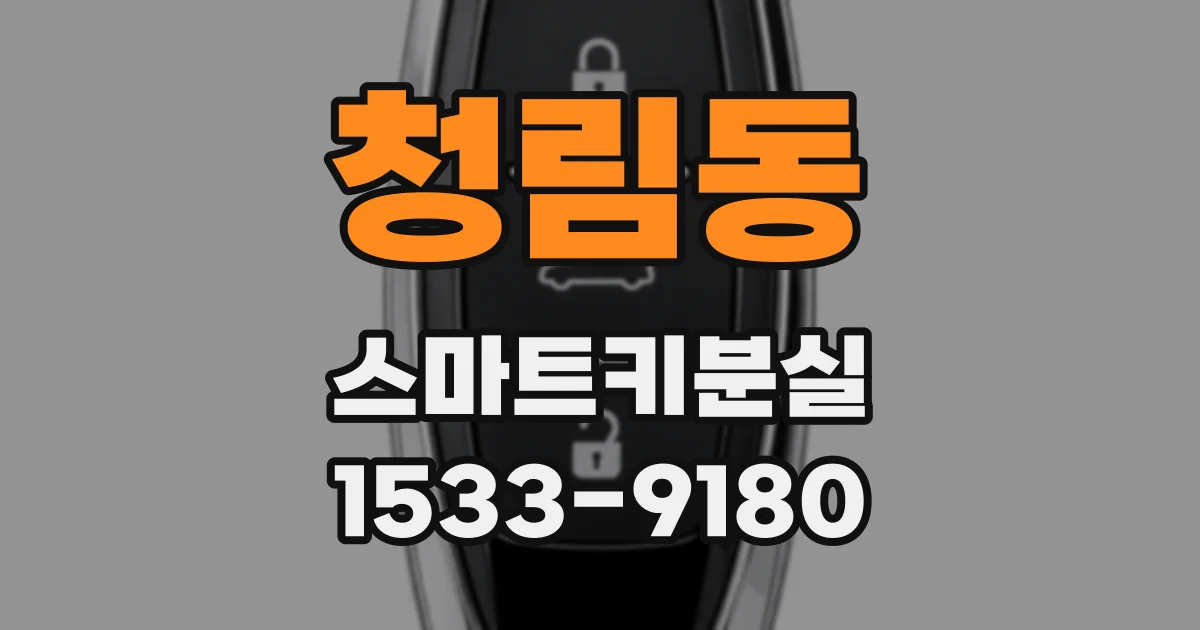 청림동 스마트키분실