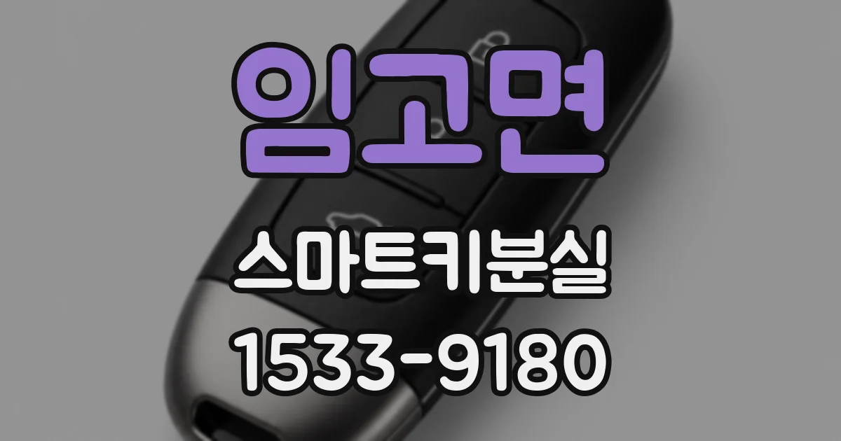 임고면 스마트키분실