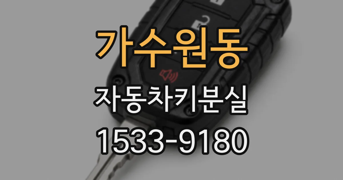 가수원동 자동차키분실