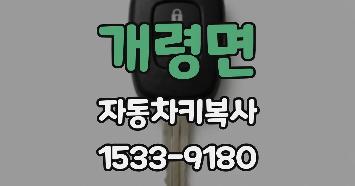 개령면 자동차키복사