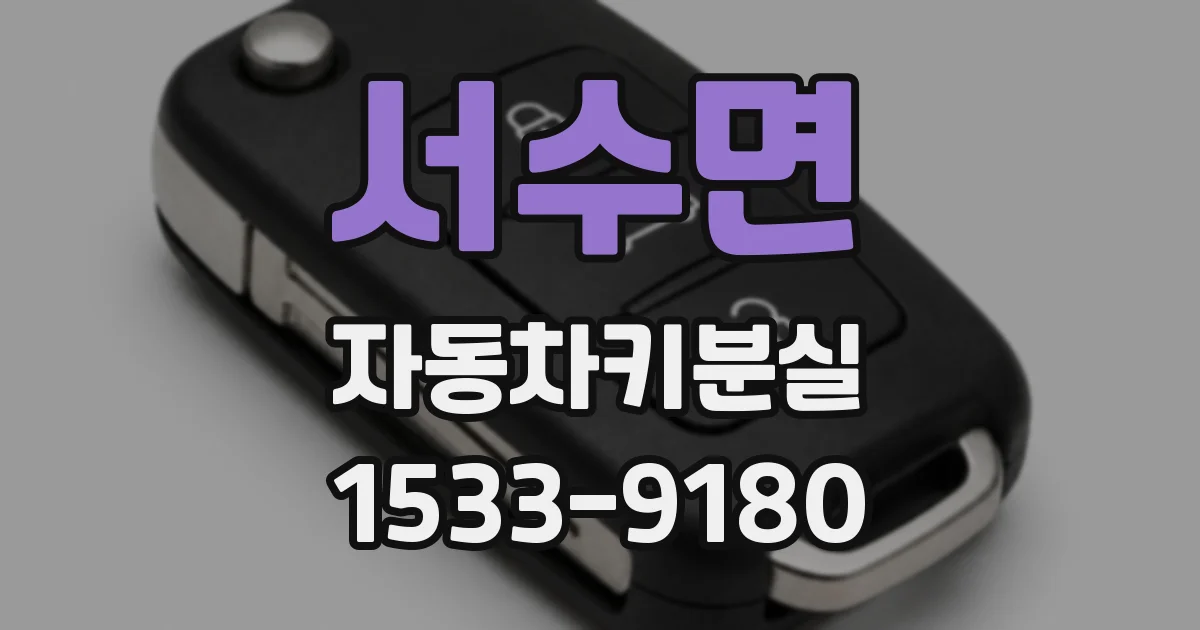 서수면 자동차키분실
