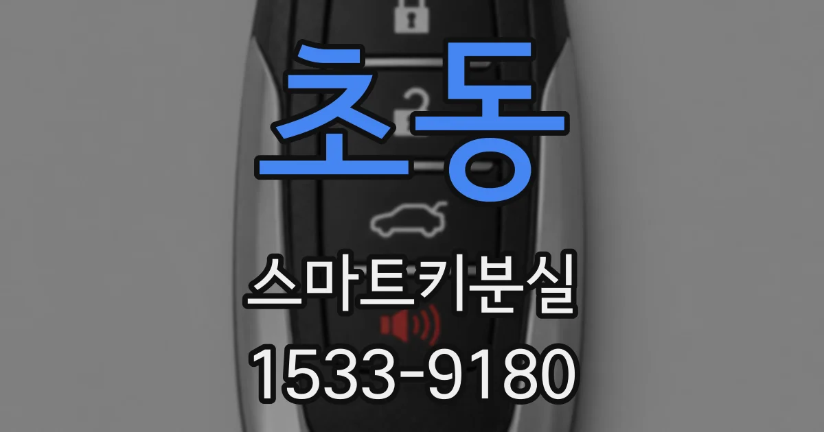 초동 스마트키분실