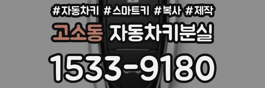 고소동 자동차키분실