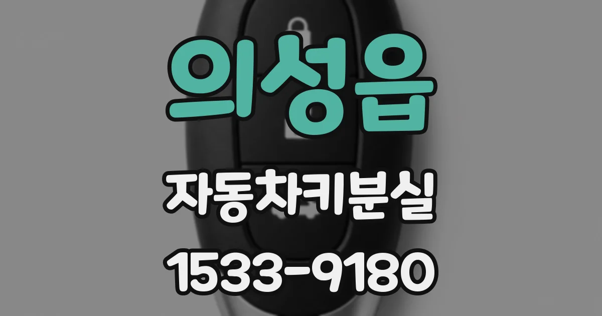 의성읍 자동차키분실
