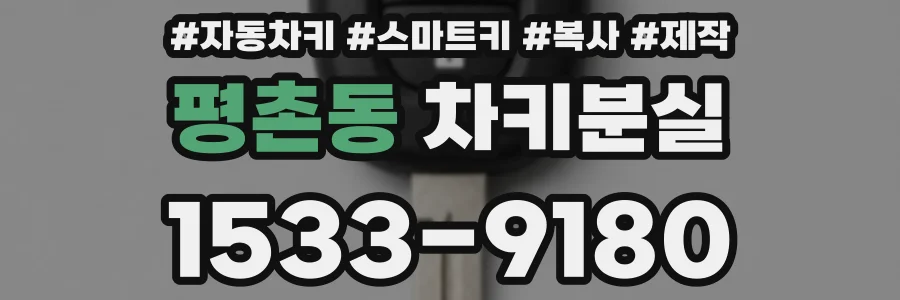 평촌동 차키분실