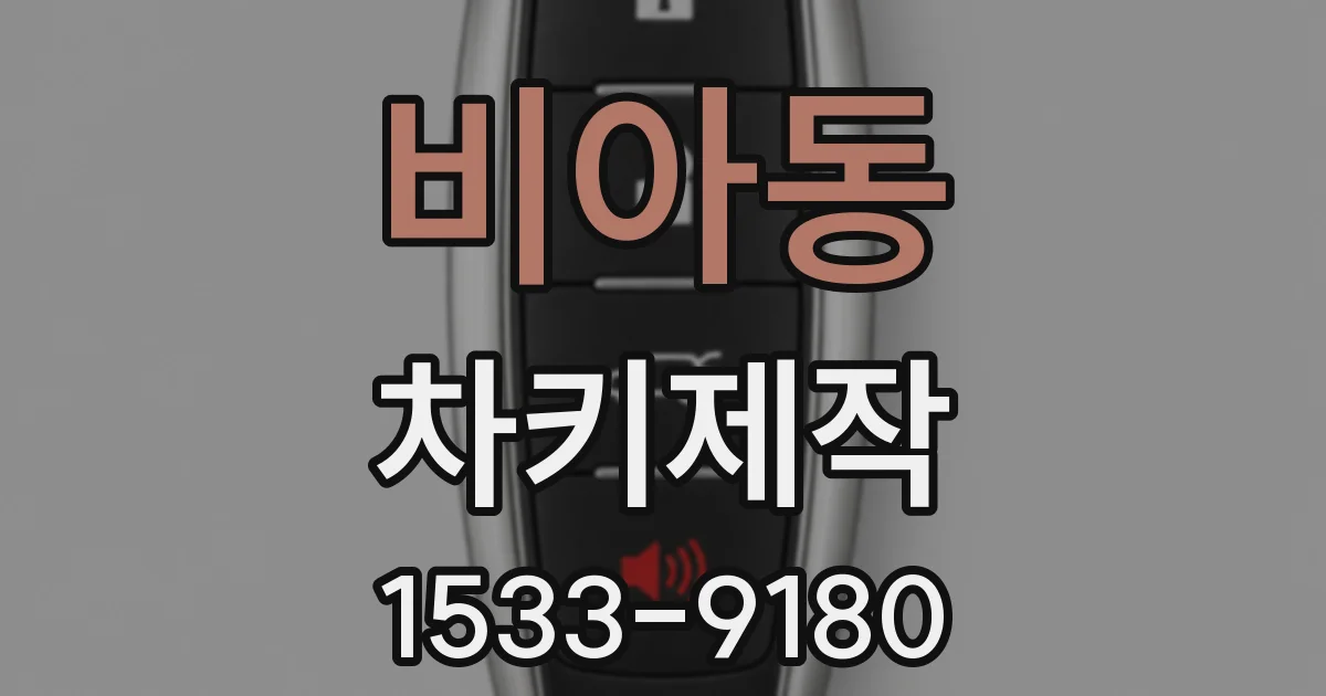 비아동 차키제작