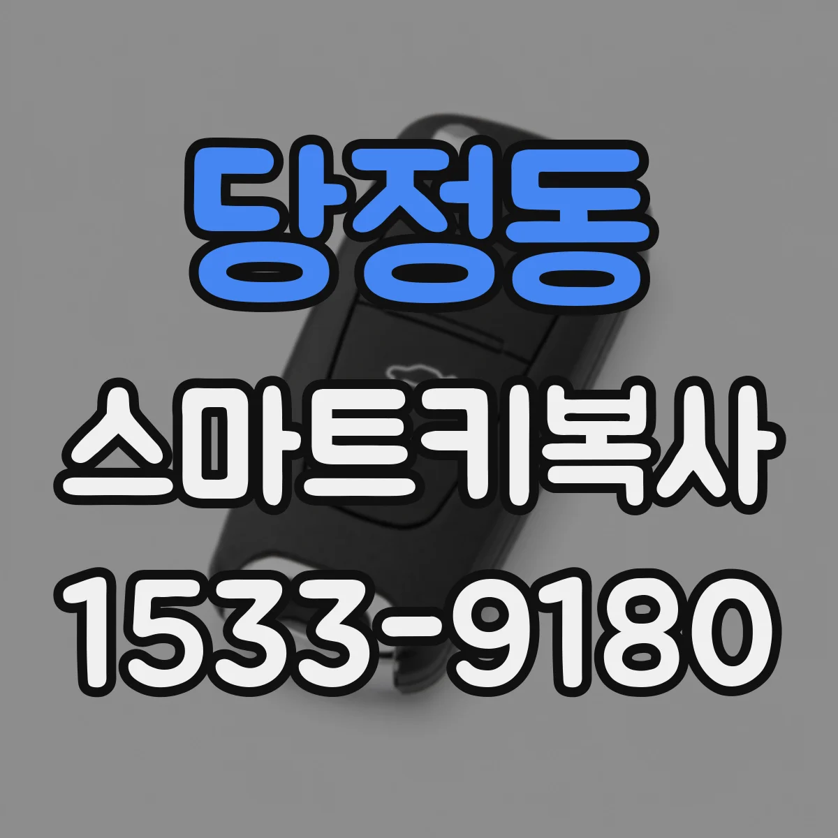 당정동 스마트키복사