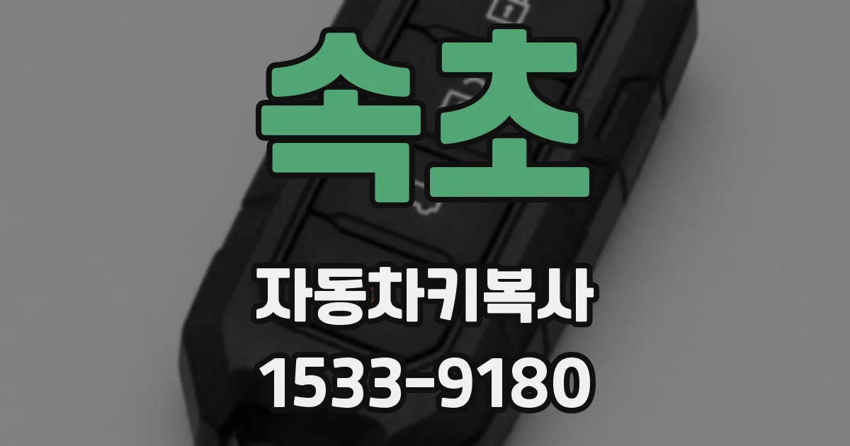 속초 자동차키복사