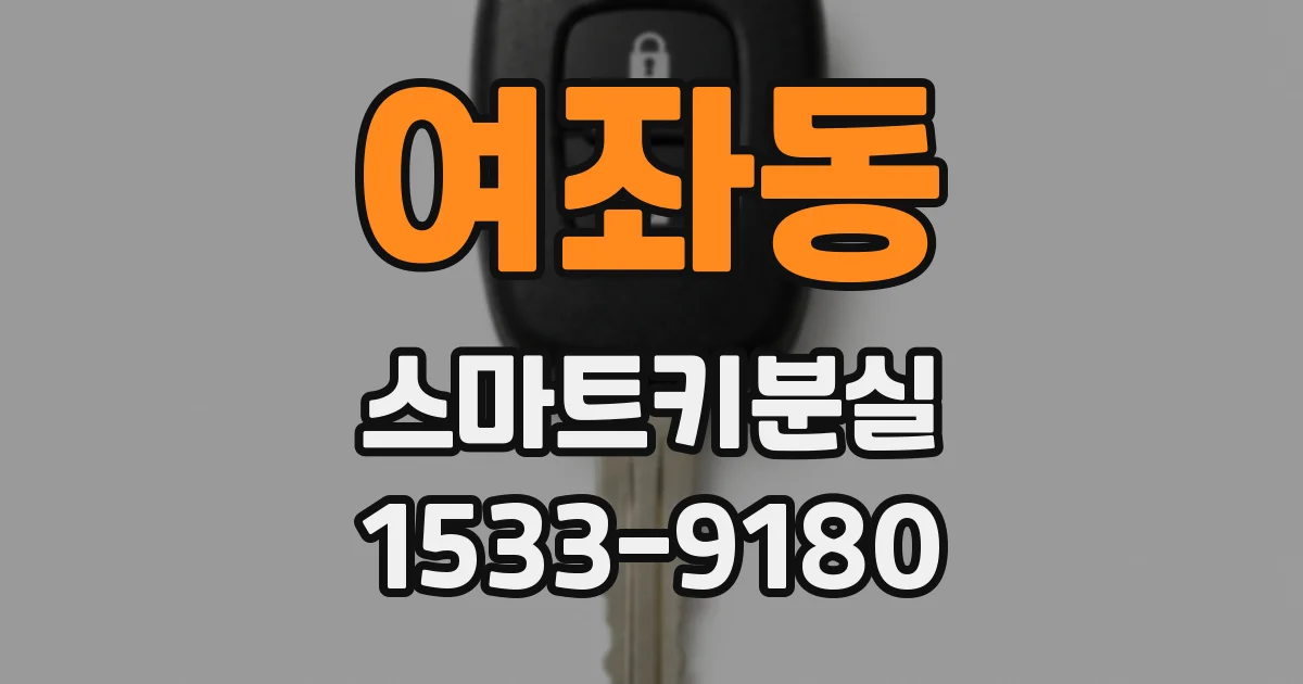 여좌동 스마트키분실