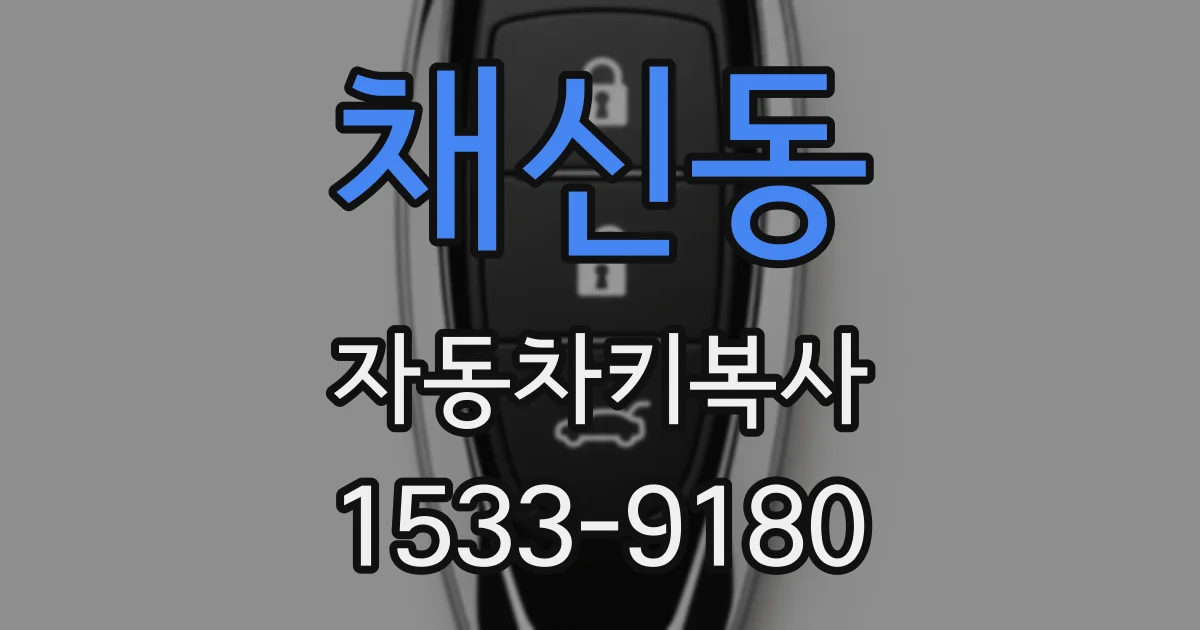 채신동 자동차키복사