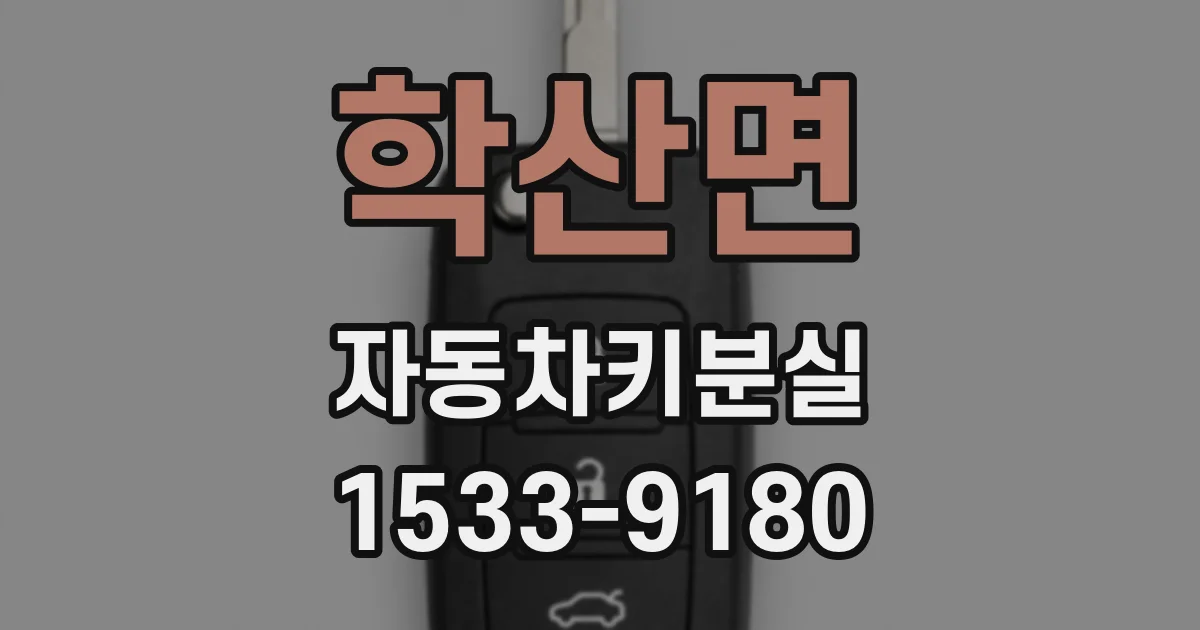 학산면 자동차키분실