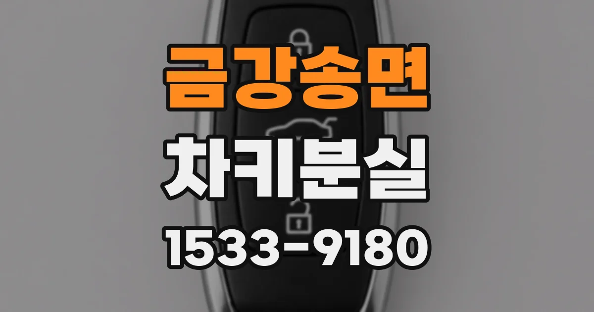 금강송면 차키분실