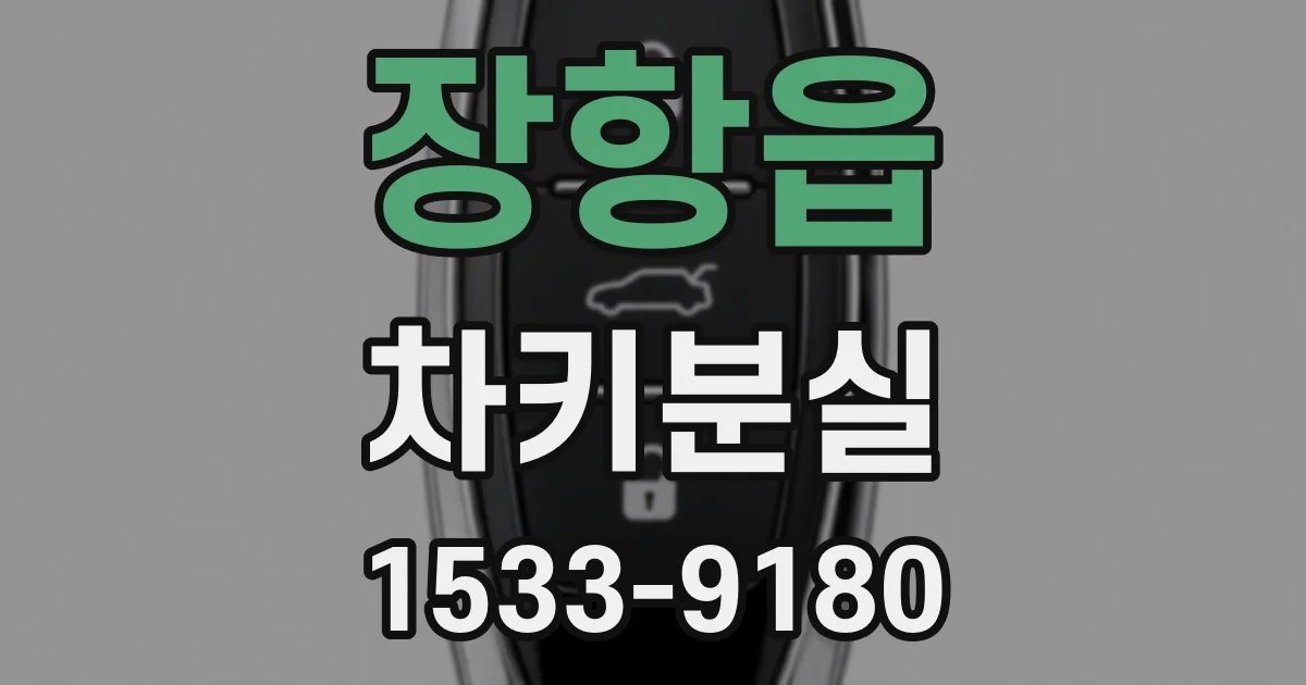 장항읍 차키분실