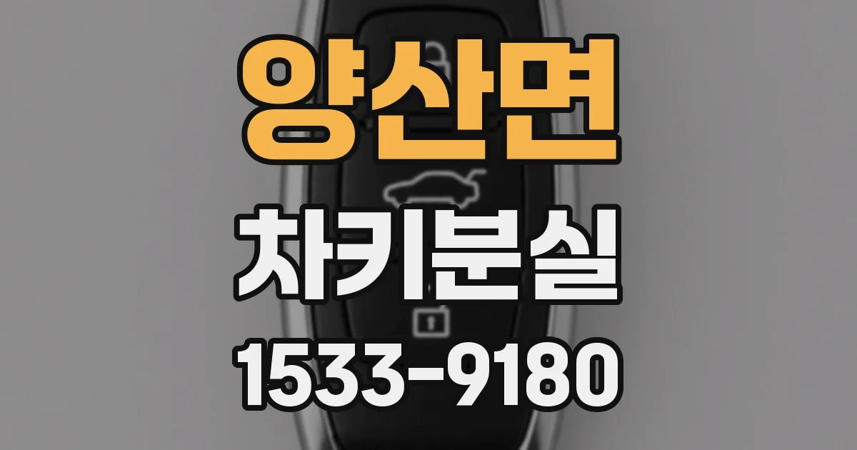 양산면 차키분실