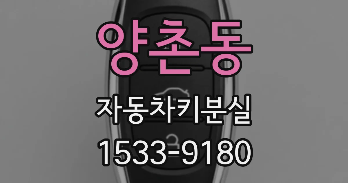 양촌동 자동차키분실