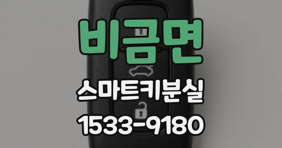 비금면 스마트키분실