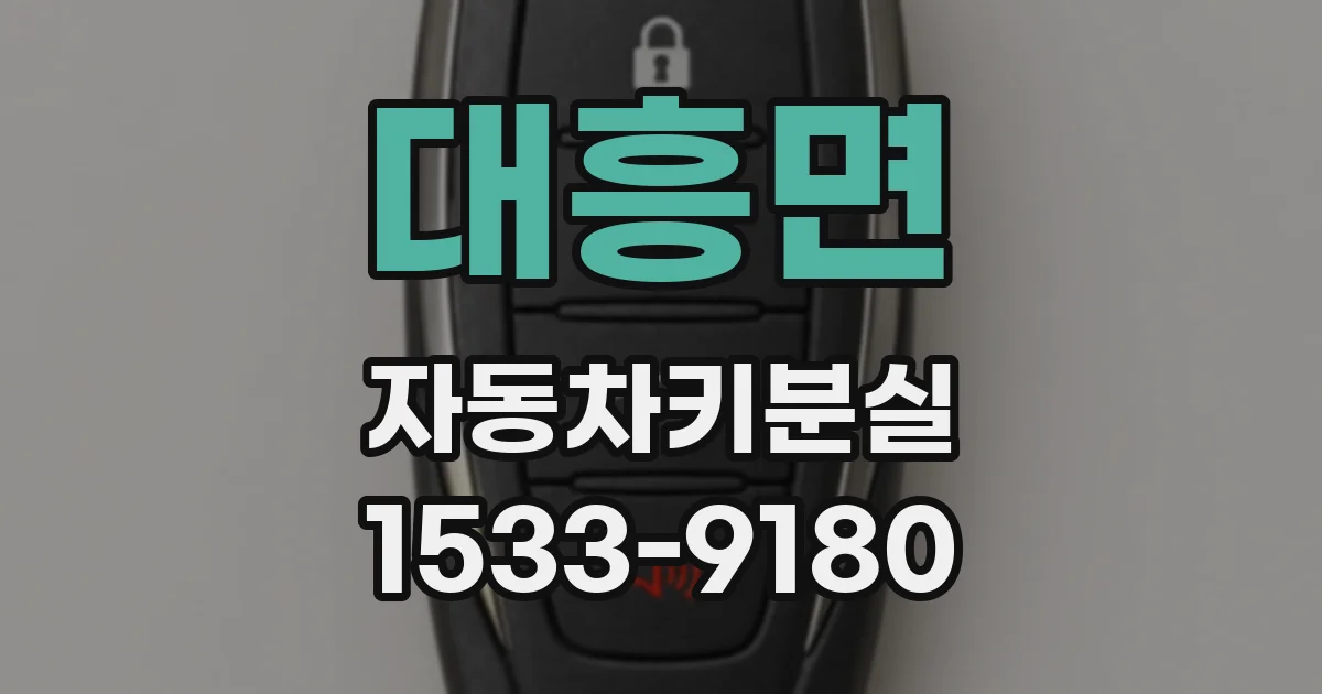 대흥면 자동차키분실
