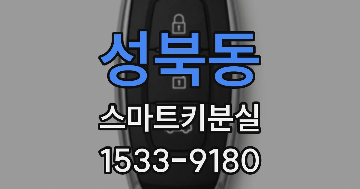 성북동 스마트키분실