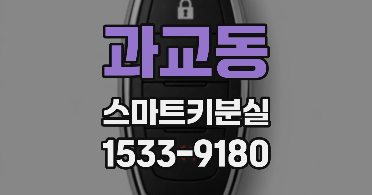 과교동 스마트키분실