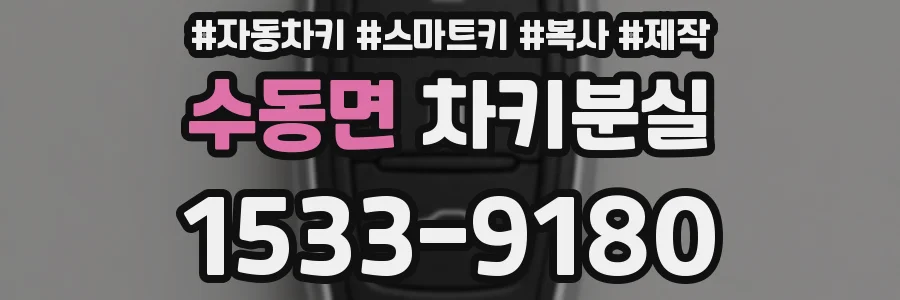 수동면 차키분실