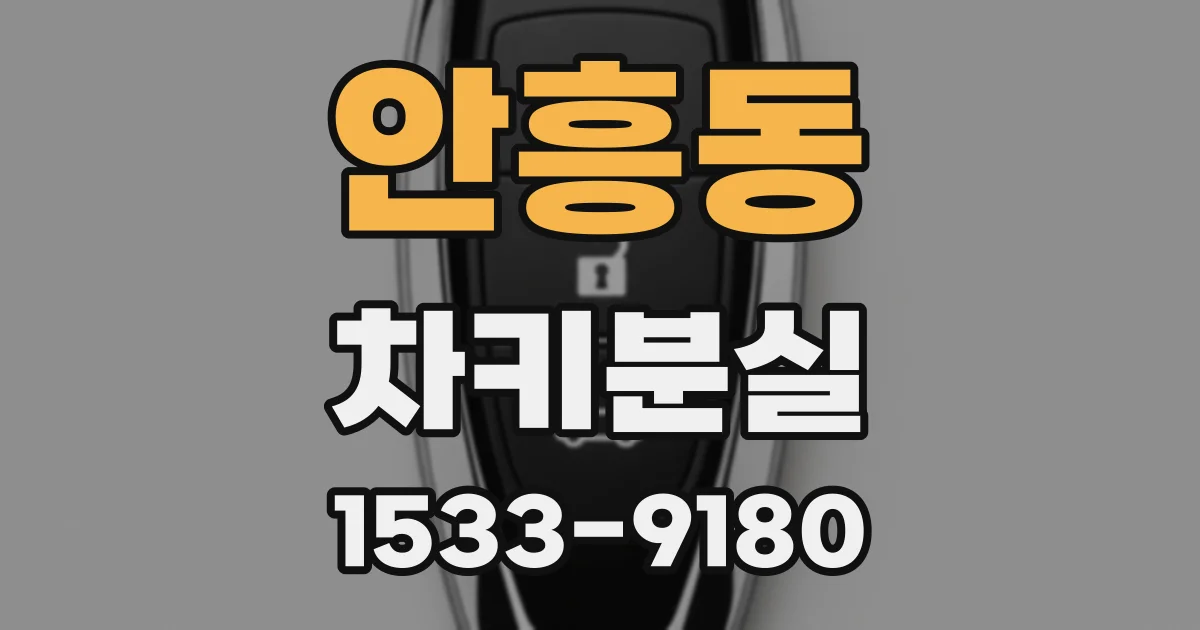 안흥동 차키분실