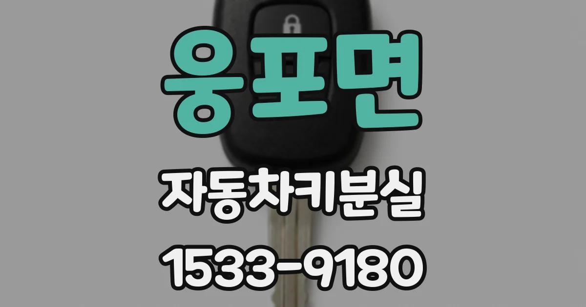 웅포면 자동차키분실