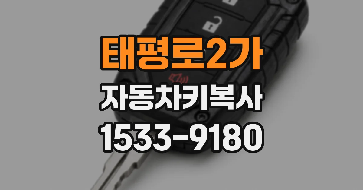 태평로2가 자동차키복사
