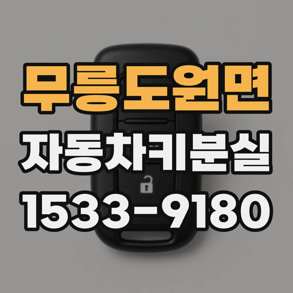 무릉도원면 자동차키분실