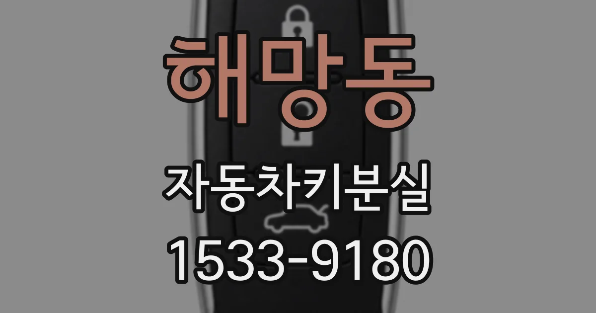 해망동 자동차키분실