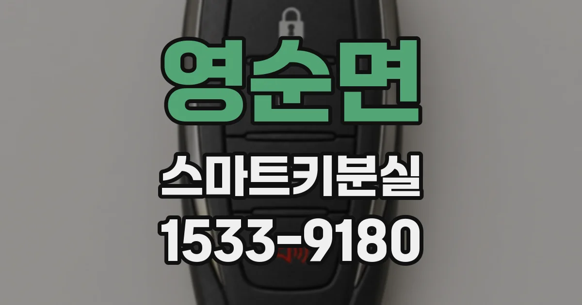 영순면 스마트키분실