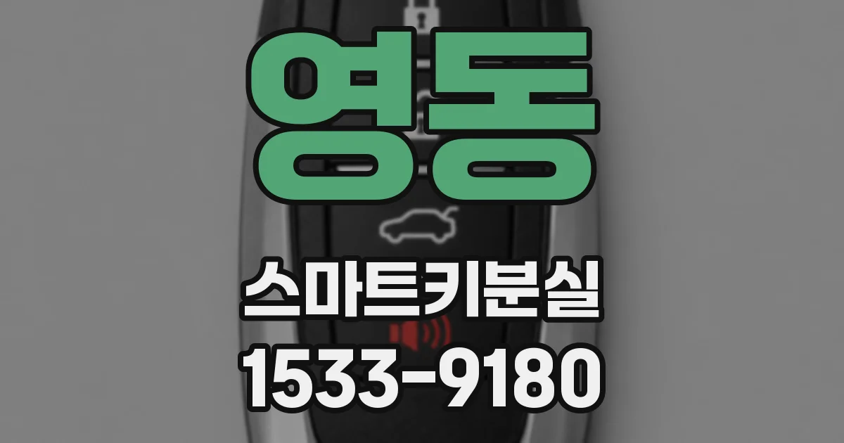 영동 스마트키분실