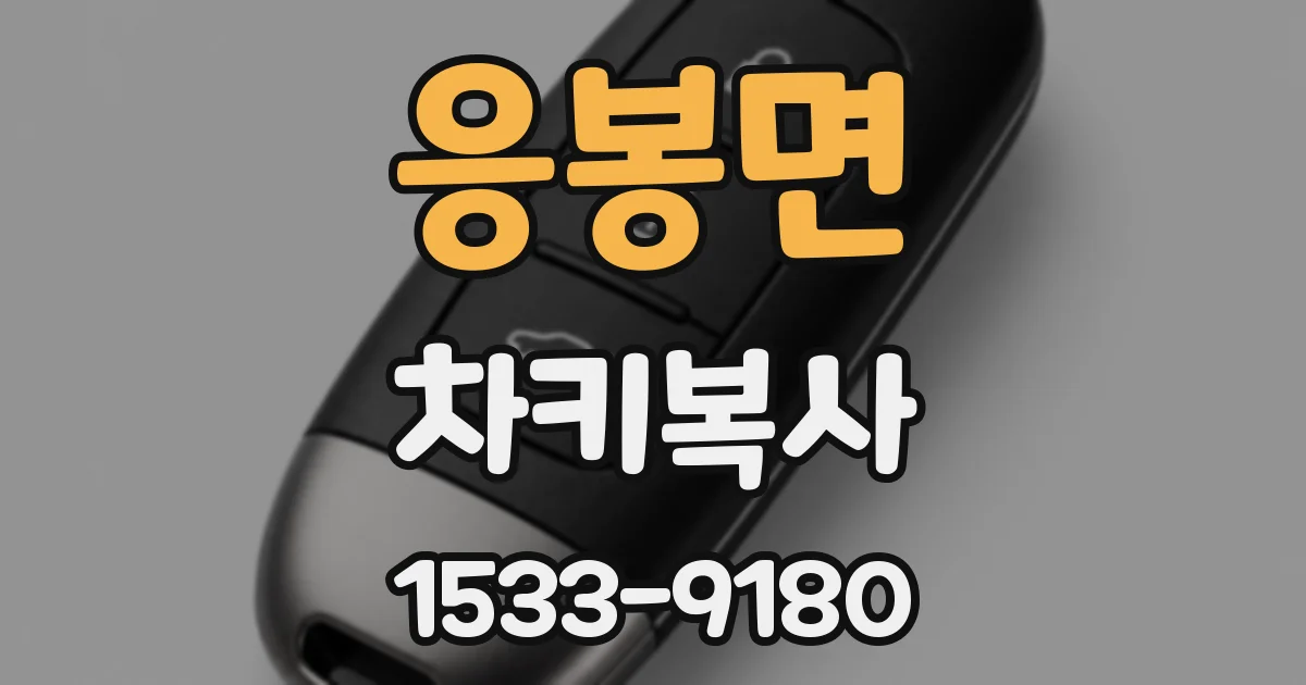 응봉면 차키복사