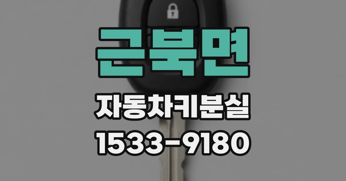 근북면 자동차키분실