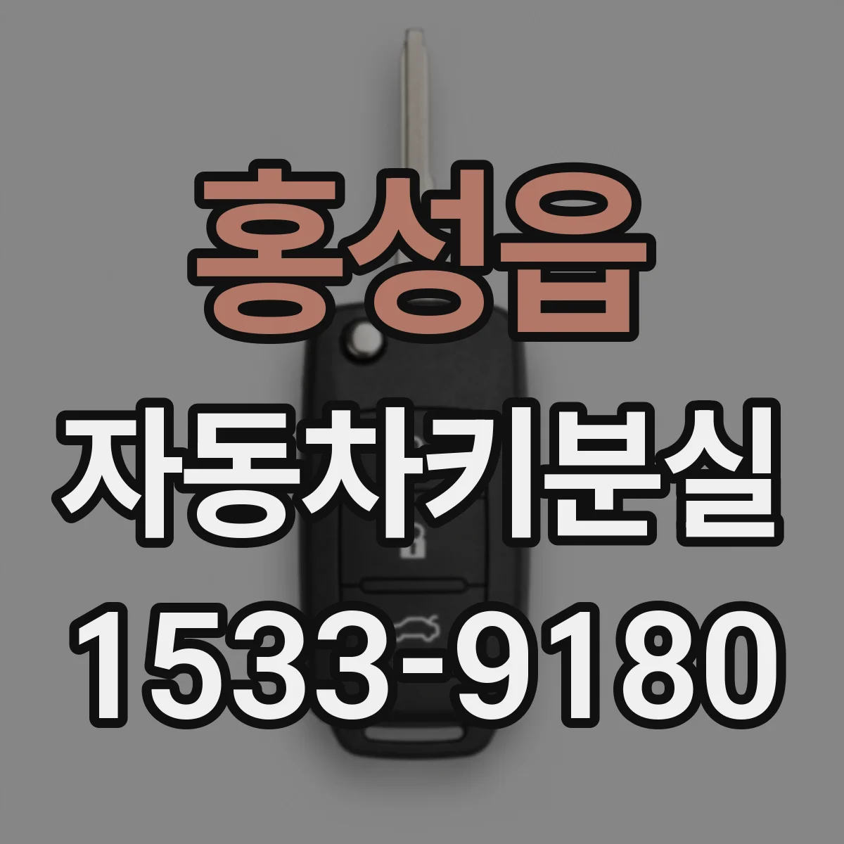 홍성읍 자동차키분실