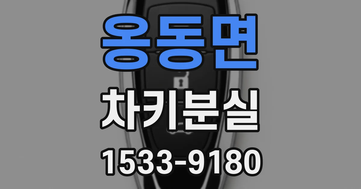 옹동면 차키분실