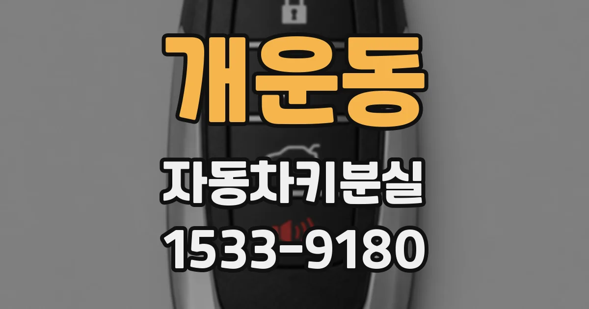 개운동 자동차키분실