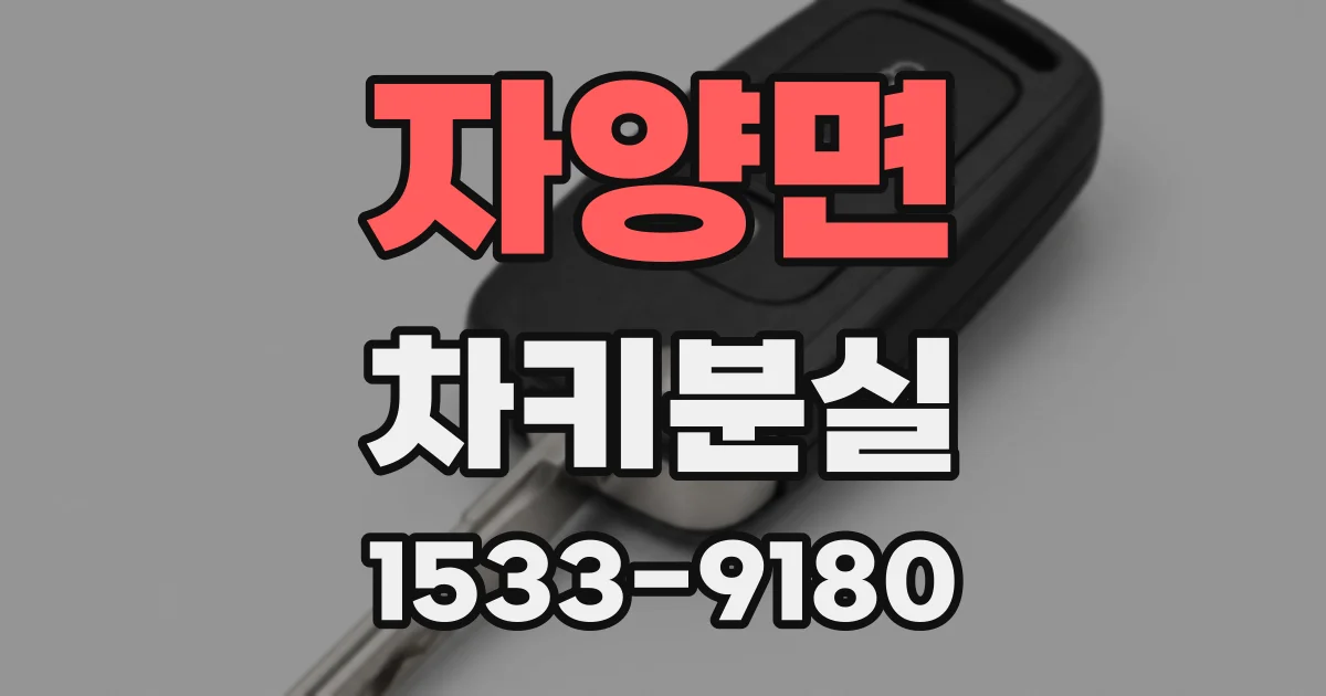 자양면 차키분실