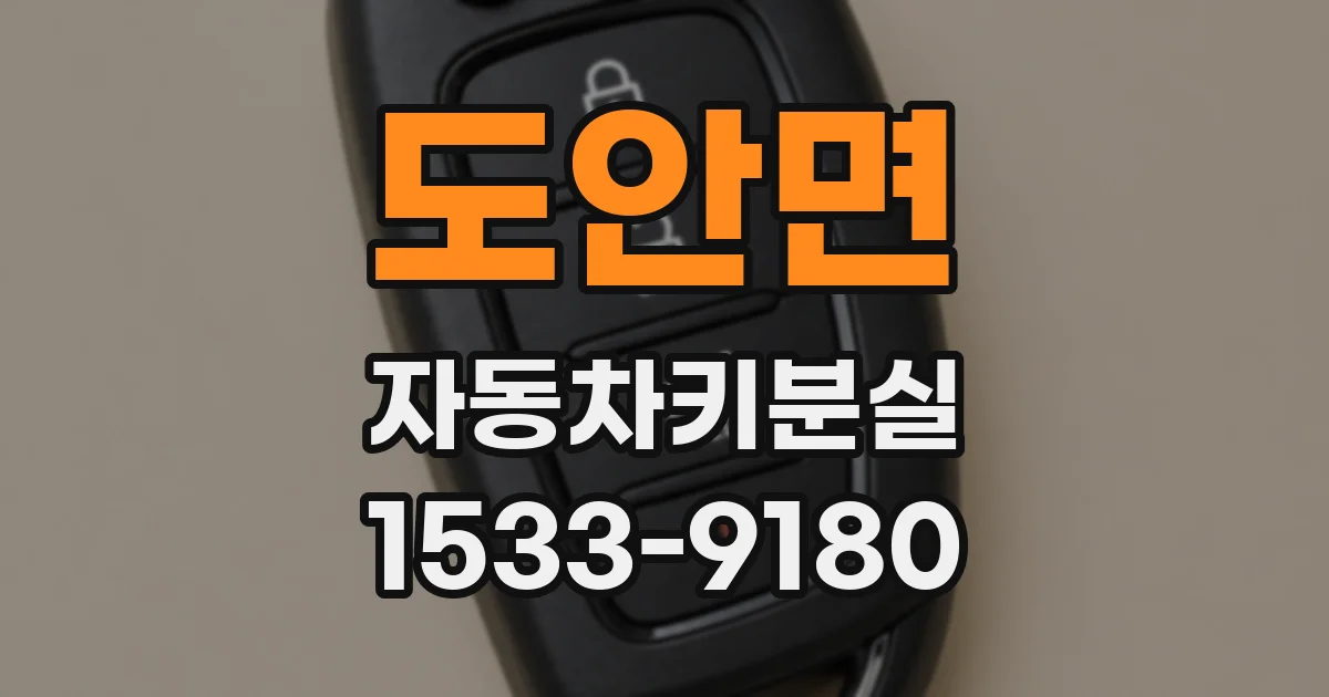 도안면 자동차키분실