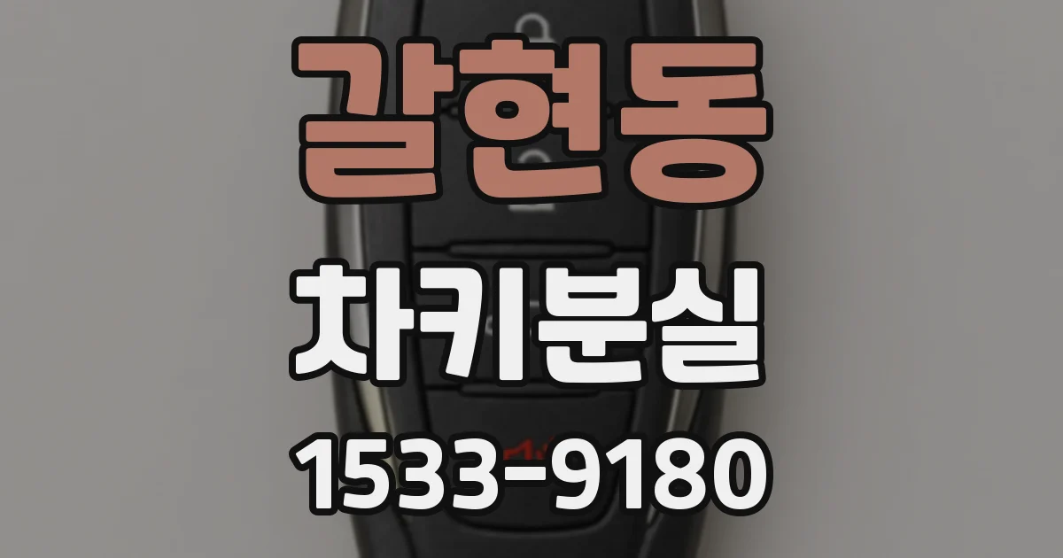 갈현동 차키분실