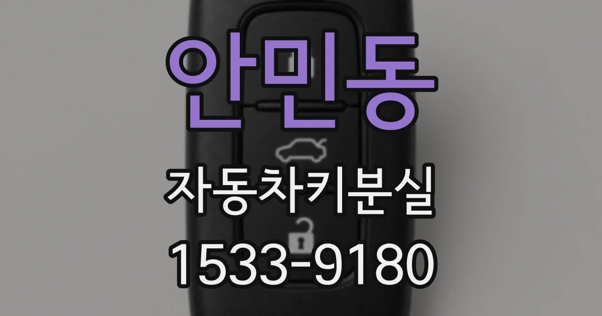 안민동 자동차키분실