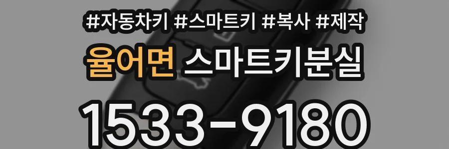 율어면 스마트키분실