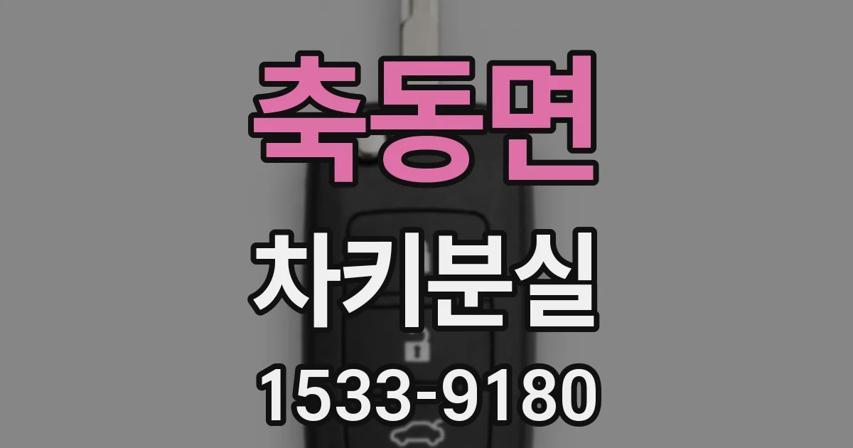축동면 차키분실