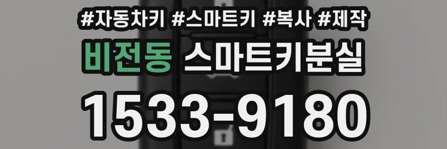 비전동 스마트키분실